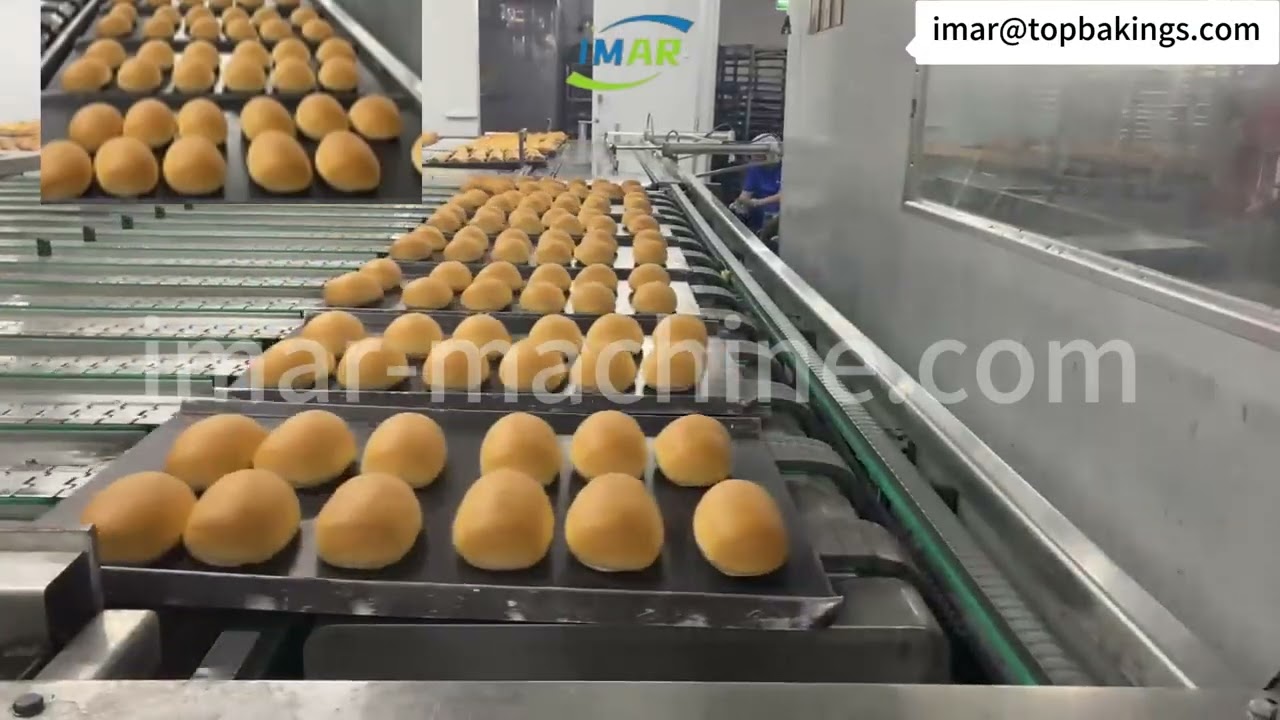 【IMAR Machine】