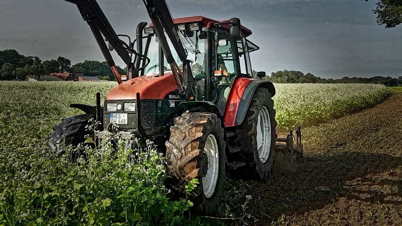 Gründüngung/Rettich Fräsen 2017 | New Holland TS 110 mit Howard Fräse