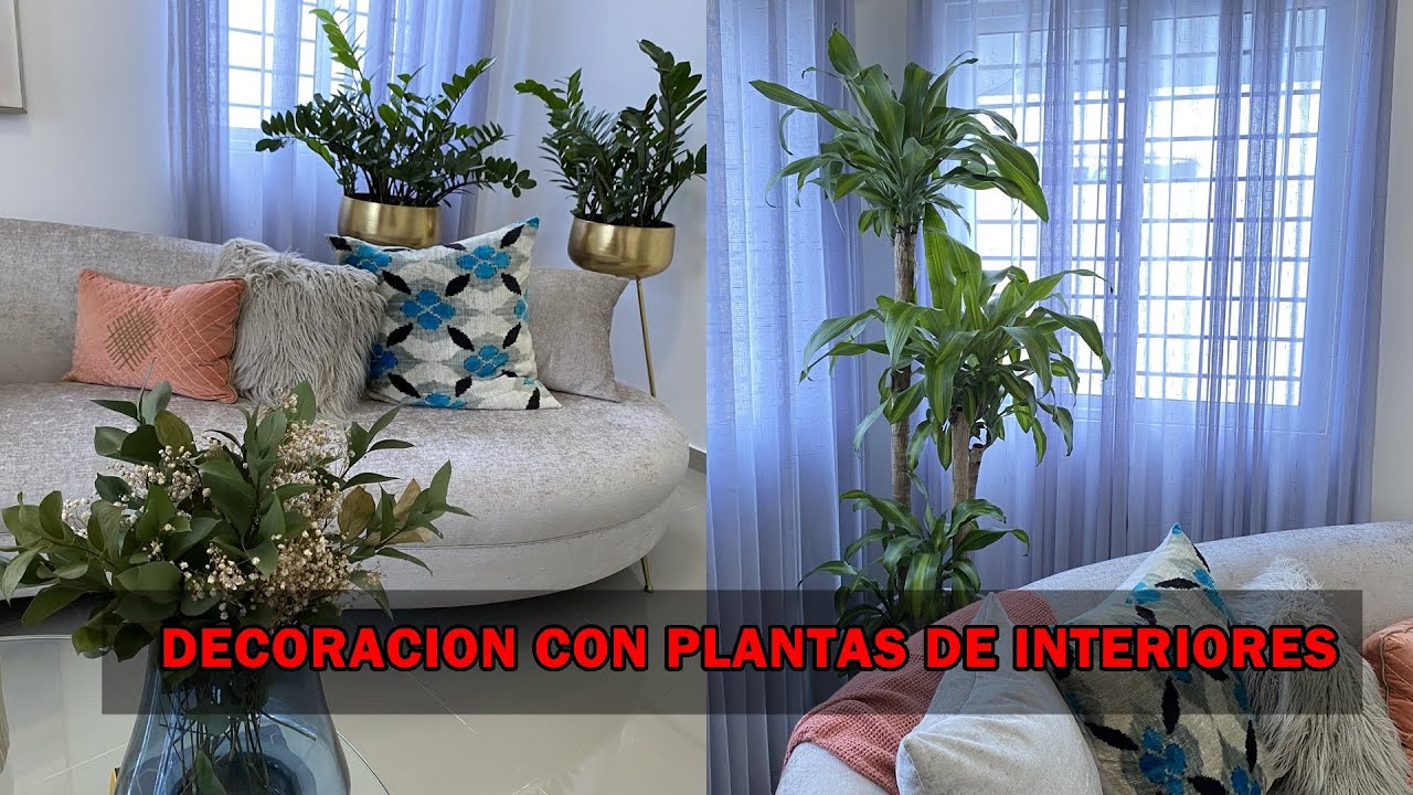 TOUR  de mi CASA  con mas de 15 plantas de interior - nueva decoración