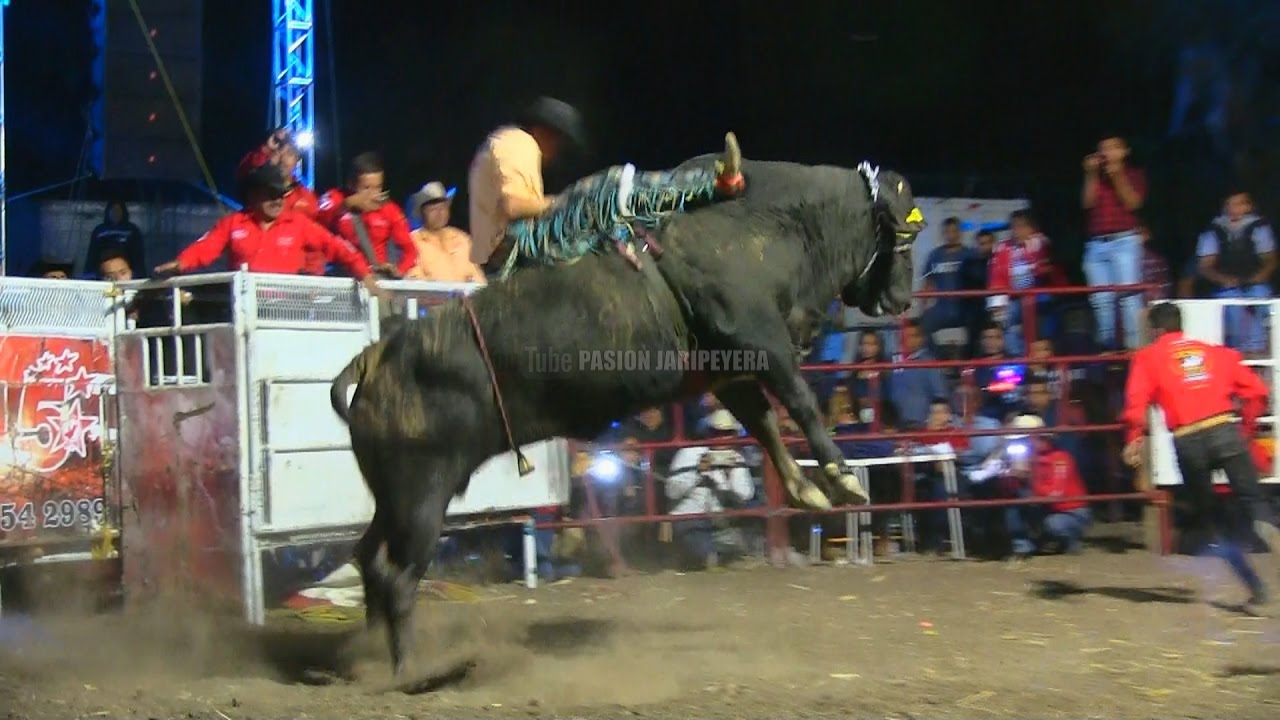 &iexcl;ROMPE CRANEOS A GRAPA! RANCHO SANTA MONICA EN TEZOATLAN DE SEGURA Y LUNA 2017