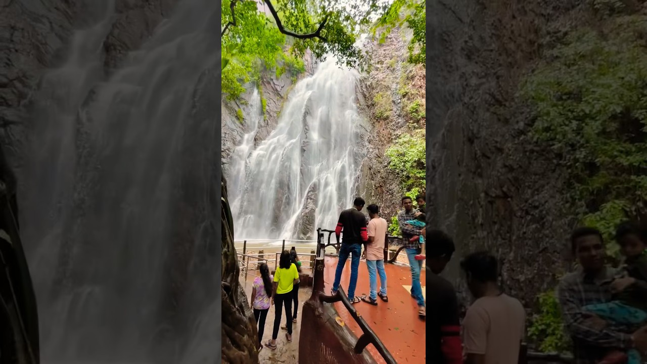 Pradhanpat Waterfall ll Deogarh ODISHA ll #shorts #pradhanpat #pradhanpatwaterfall