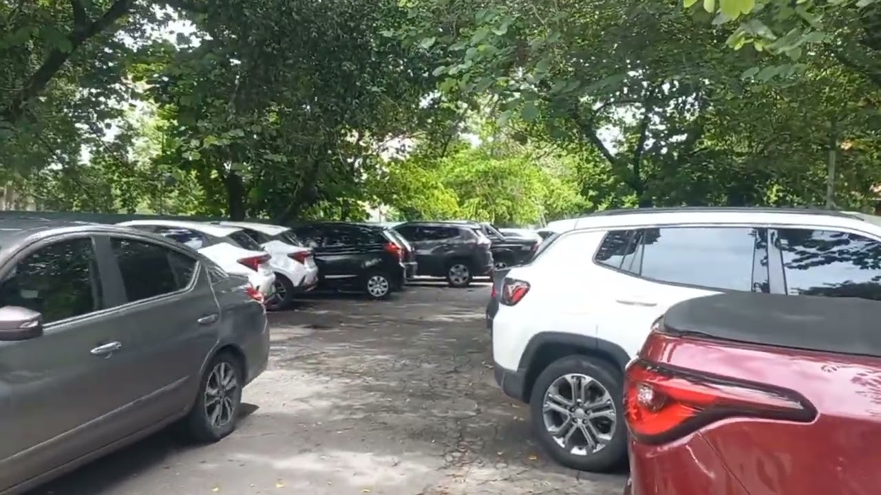 Manhã de sábado indo trabalhar 