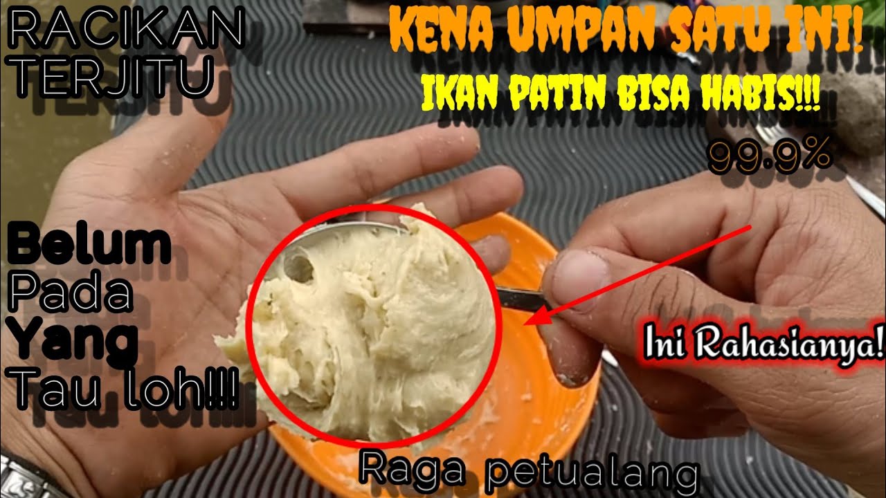 UMPAN IKAN PATIN PALING JITU || TERBARU 2023 ||