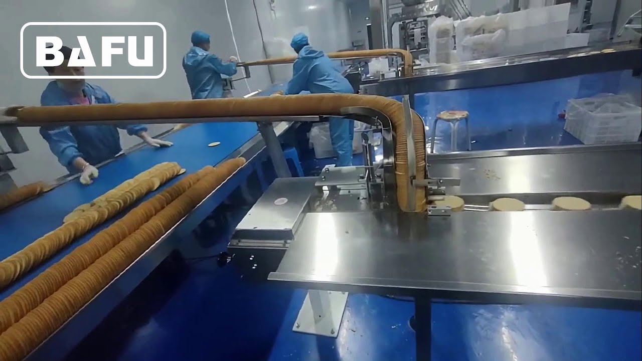 biscuit packaging machine, cookies packaging machine, cracker packaging machine, flow wrapper