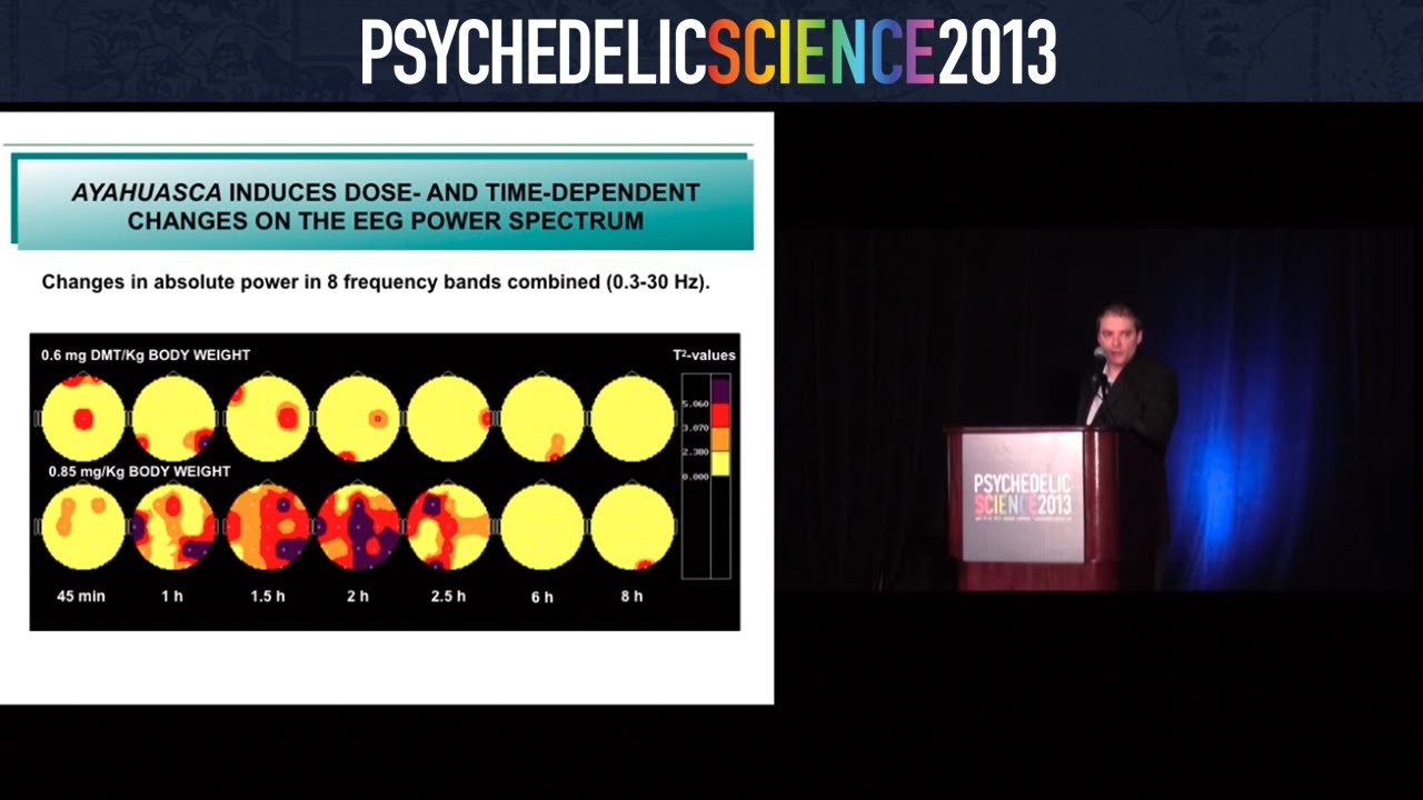 Fourteen Years of Clinical Research with Ayahuasca - Jordi Riba
