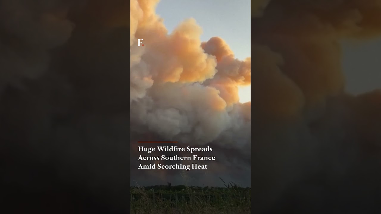 Huge Wildfire Spreads Across Southern France Amid Scorching Heat | Firstpost News | N18G