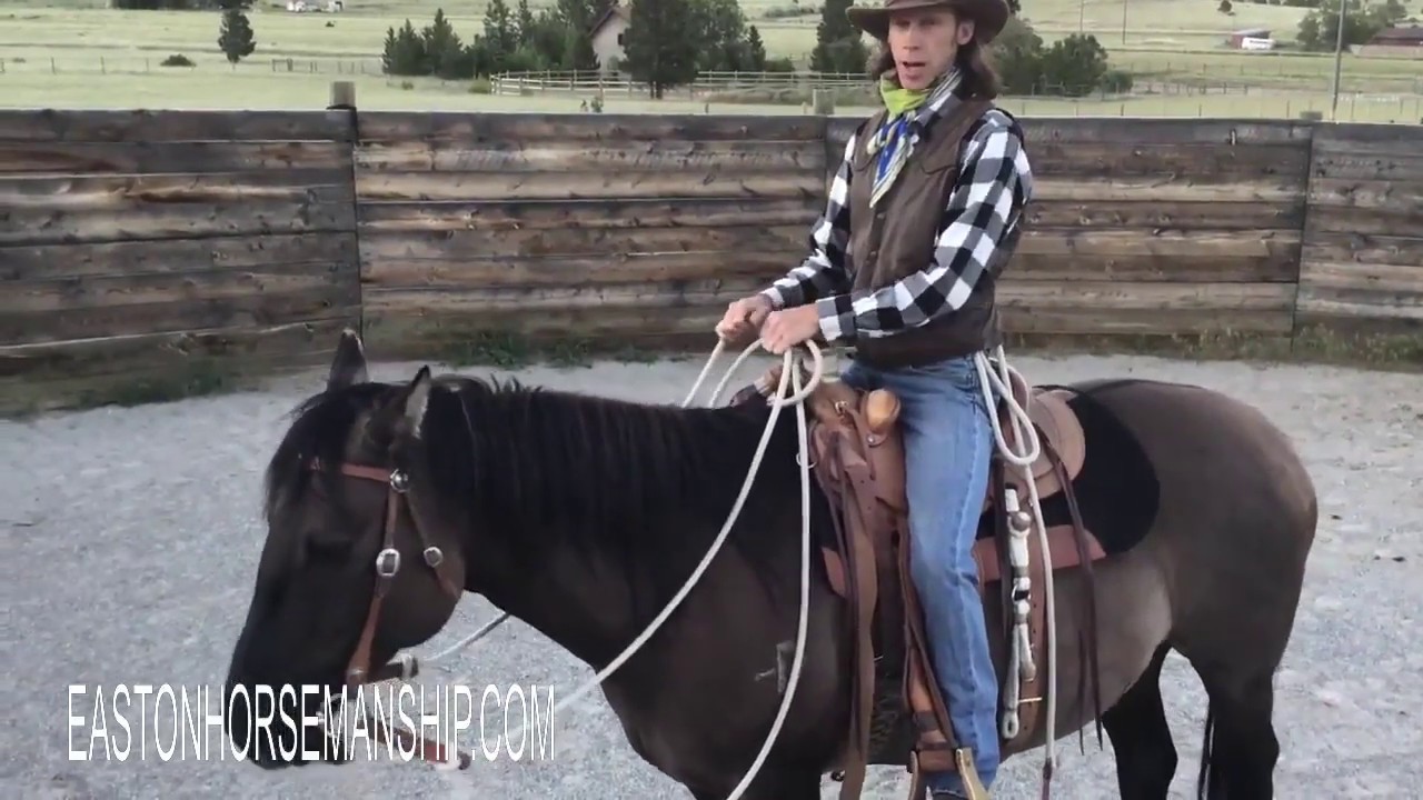 Helpful Tips and Hints on Riding with a Mecate Horse Bridle