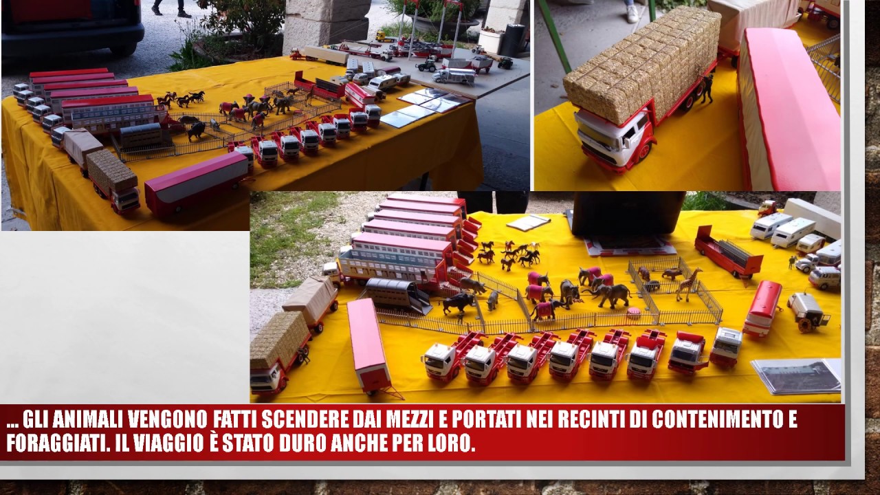 Mercatino del Circo di Brescia Ezio Torchiani 6a Edizione