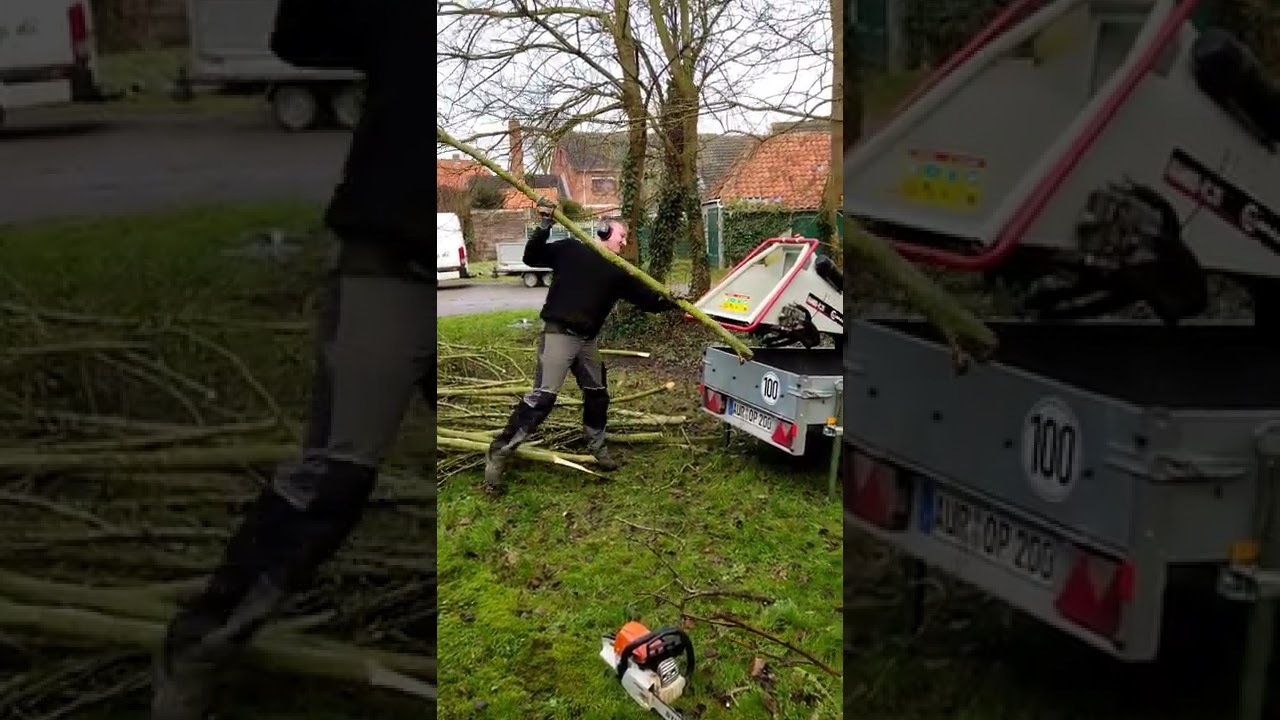 Gartenpflege Olaf Peters Häcksler lumag Rambo hc15 h . Geht doch