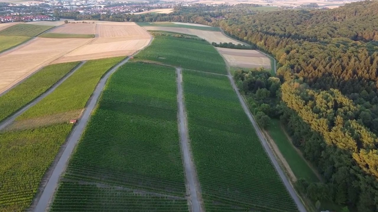 Weingebiet Heuchelberg, Leingarten