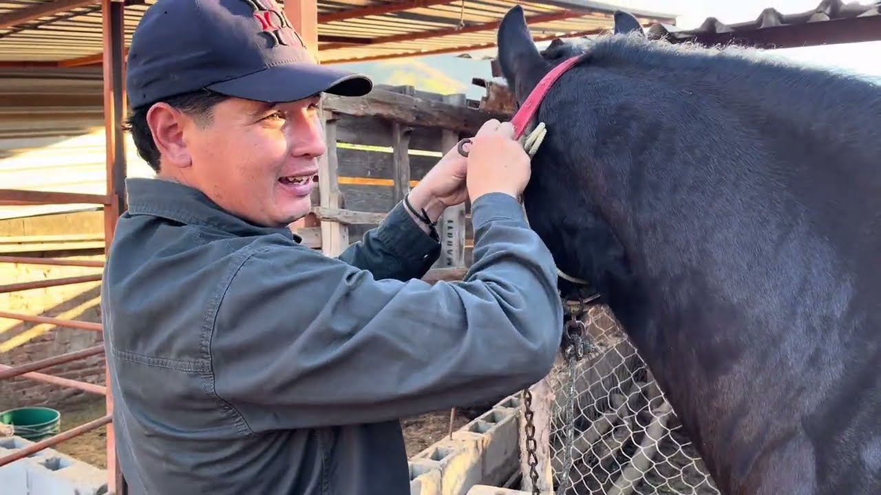 Así van los potrillos del rancho!!🐴