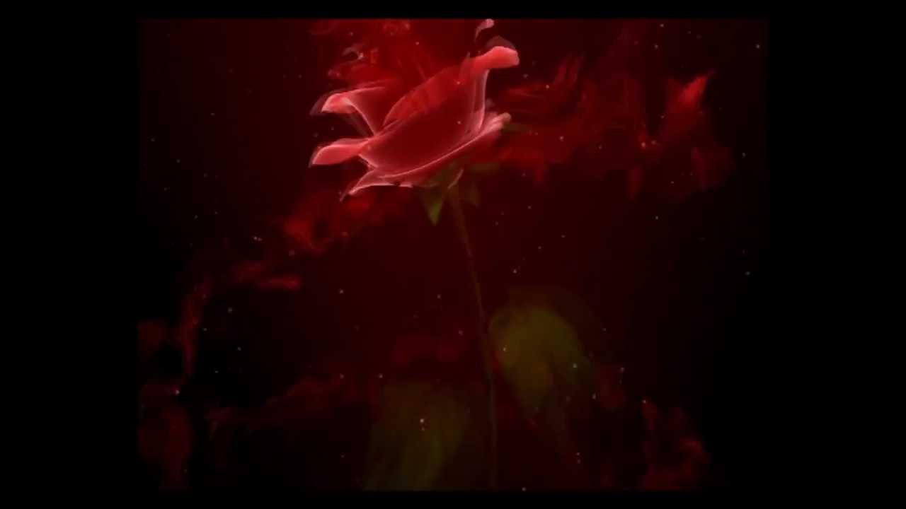 Dennye & Integru -  Fete suspecte