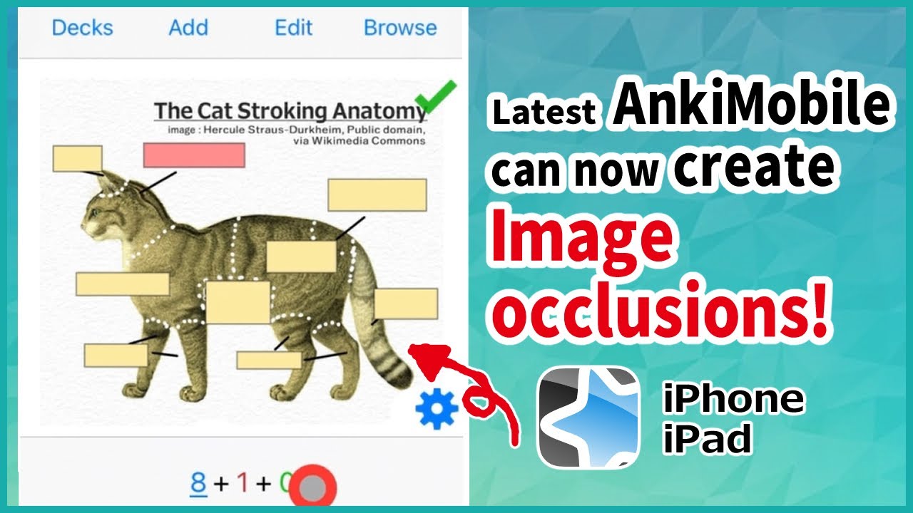 AnkiMobile can now create Image occlusions! ( Image cloze deletions, for iPone and iPad)