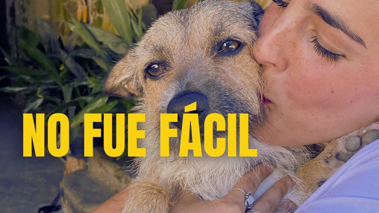 La Verdad Sobre Adoptar