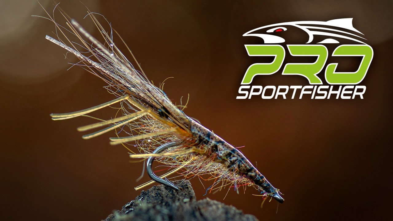Pro Sportfisher - ESL Shrimp - by Christian Krogh