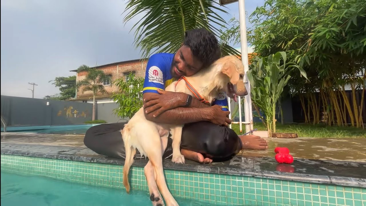 Swimming Dog | We took our dog to the Swimming pool
