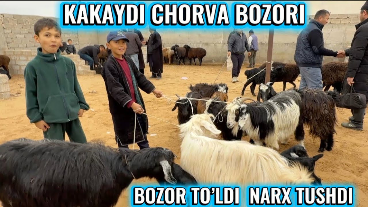 JARQO’RG’ON KAKAYDI PAYSHANBA CHORVA BOZORI