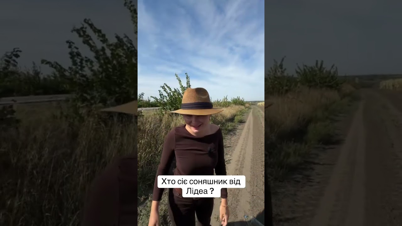 Что буду сеять в следующем году? Какой подсолнечник?