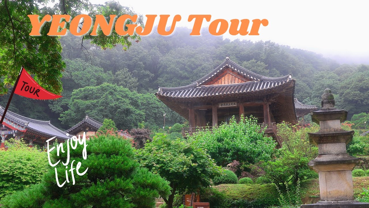 Yeongju UNESCO City Tour(외국인들이 좋아하는 영주 관광지)