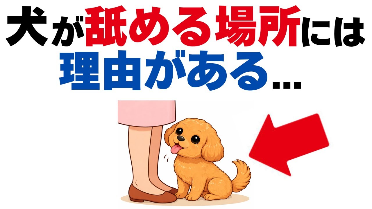 【知ってた⁇】犬が“舐める場所”で気持ちが丸わかり！４選