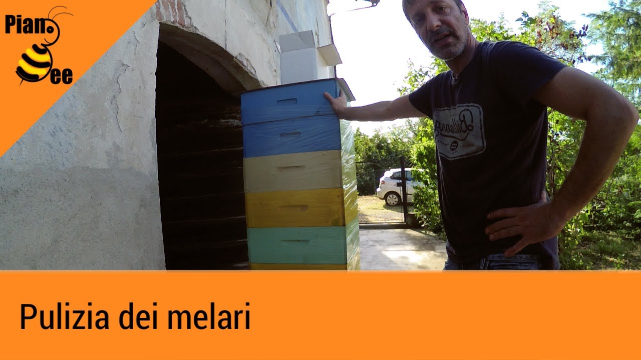 Pulizia dei melari