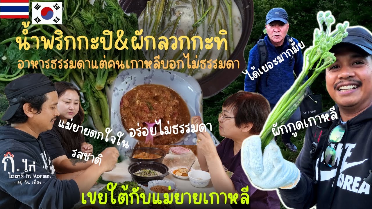 [EP.035]ขึ้นเขาเก็บผักกูดเกาหลีทำน้ำพริกกะปิกับผักลวกกะทิให้แม่ยายและจียองกินกัน