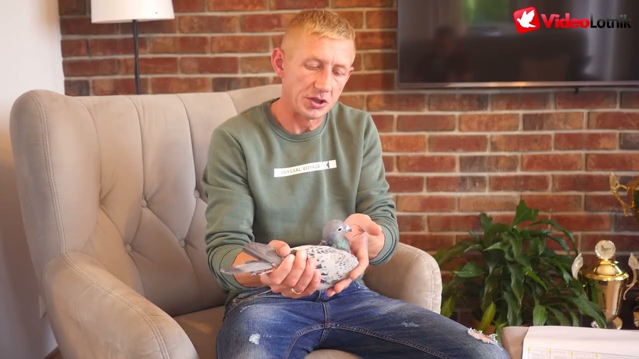 Likwidacja hodowli - Beata i Tomasz Górscy. Wielokrotni Mistrzowie w oddziale PZHGP Kartuzy - Żukowo