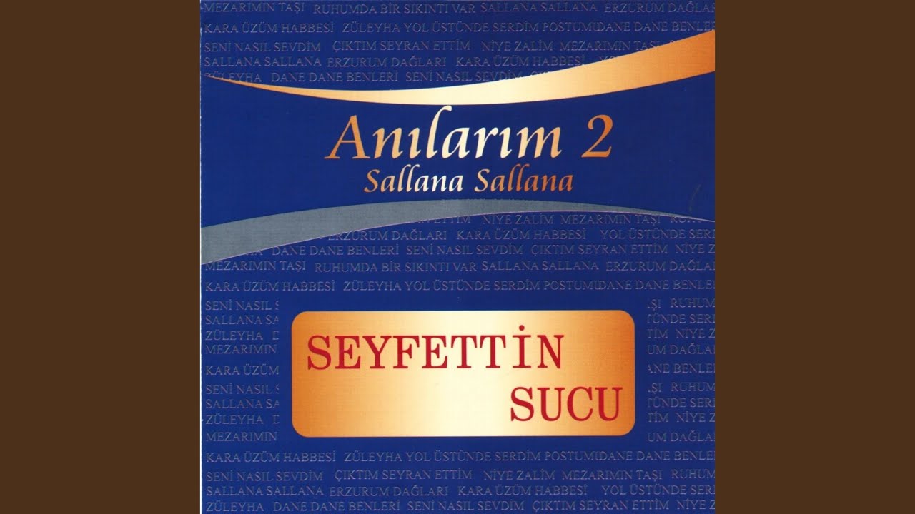 Yol Üstüne Serdim
