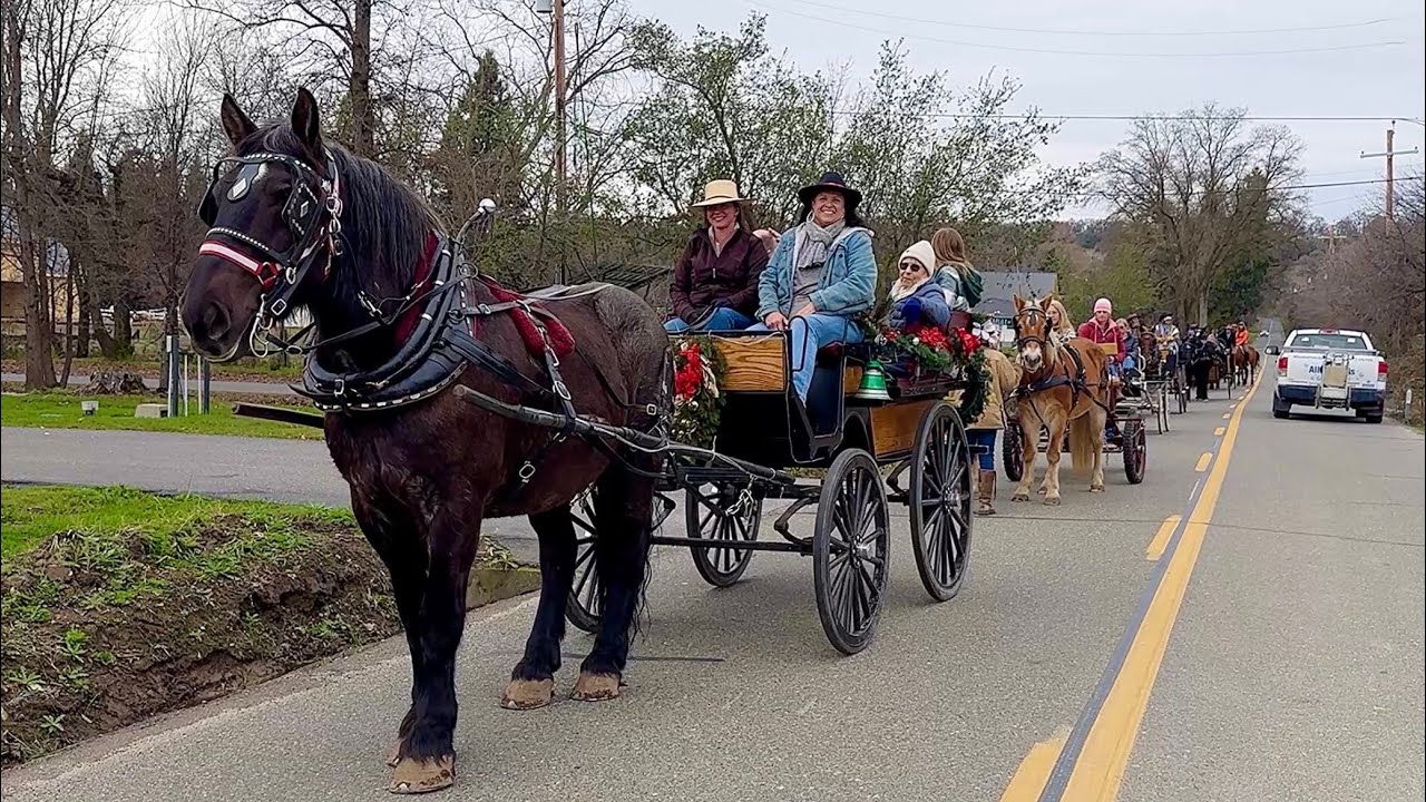 New Years Day 2025 Wagon Train Drive to Town