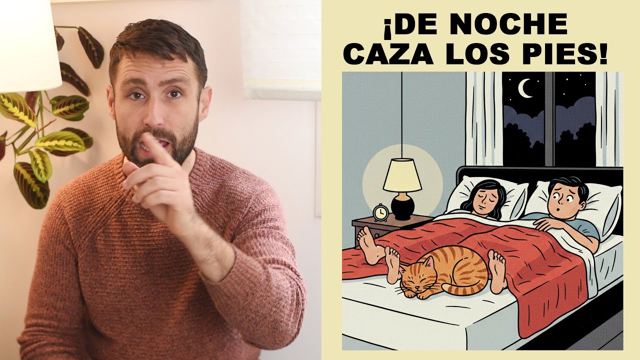 ¿Por qué mi gata se lanza a cazar los pies por la noche?