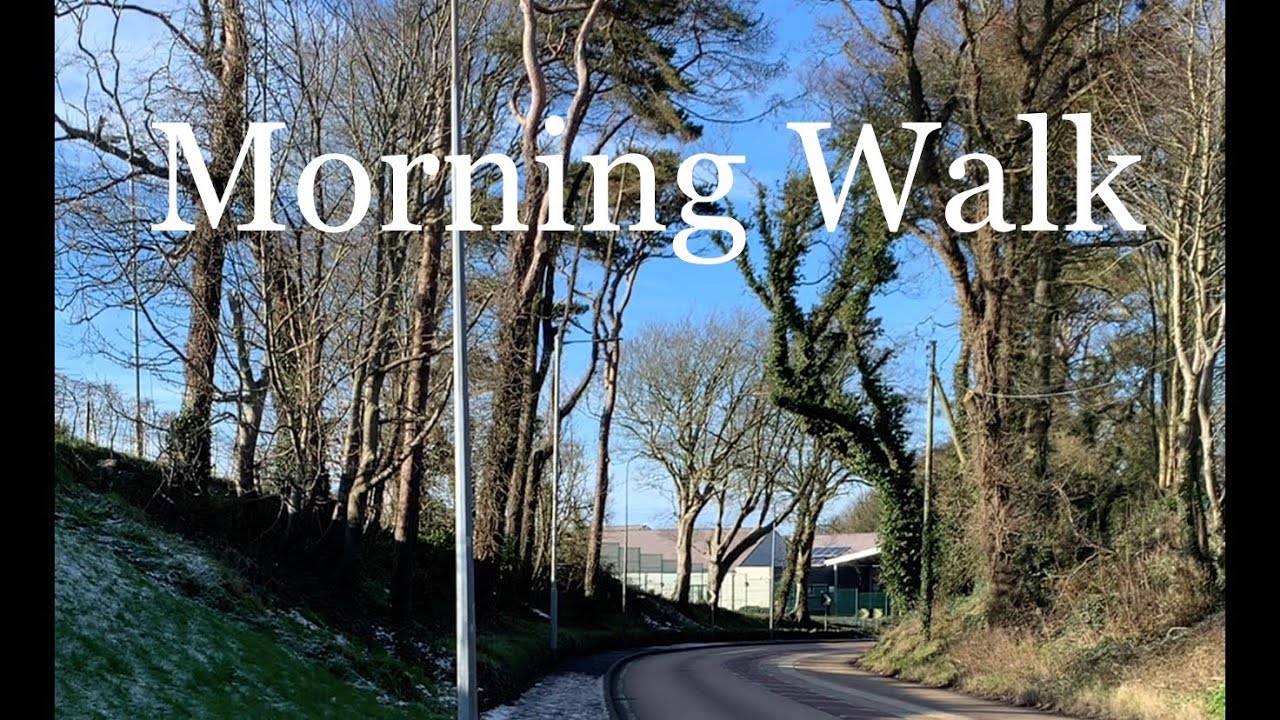 My Morning Walk     Downpatrick