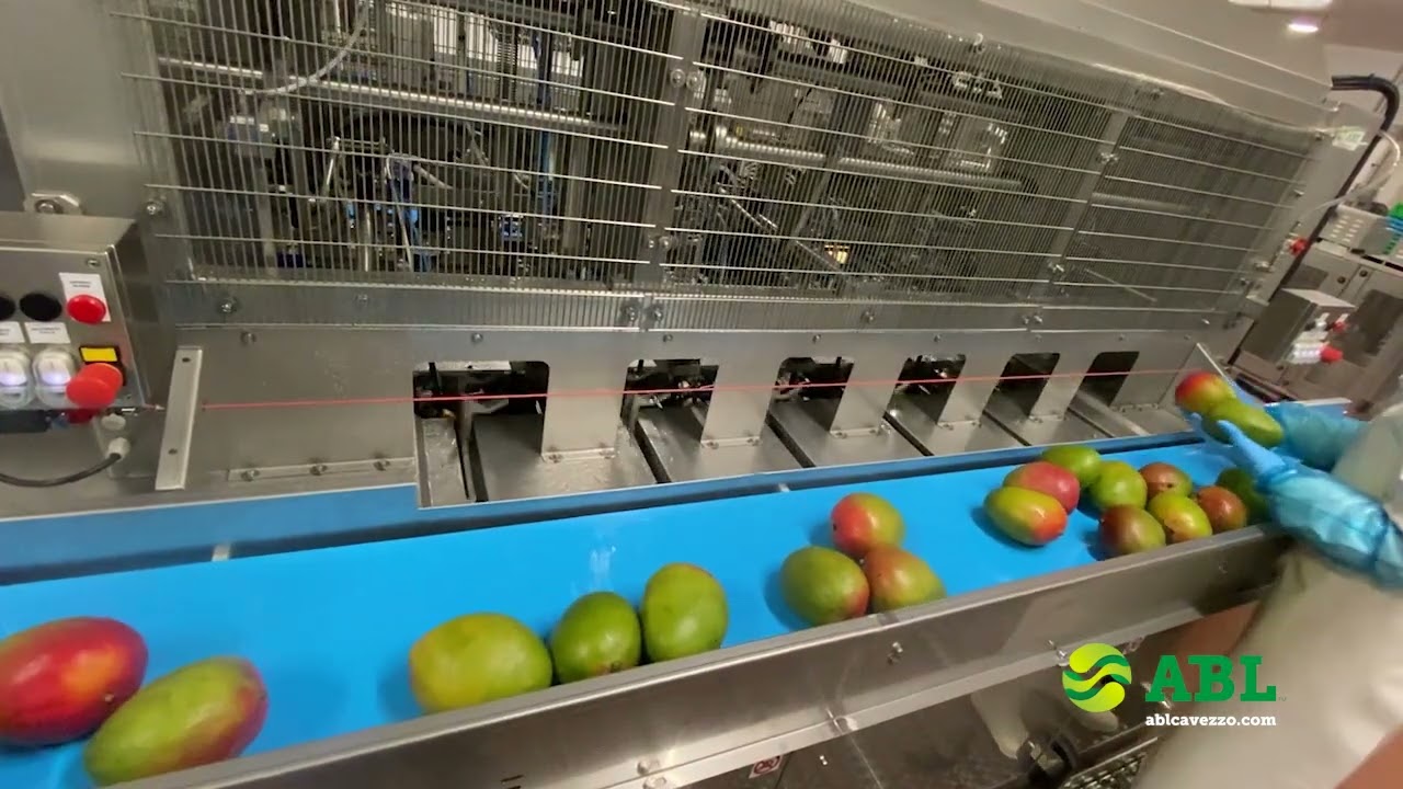 MP90 High-speed Mango Peeler (with TKM chunker)