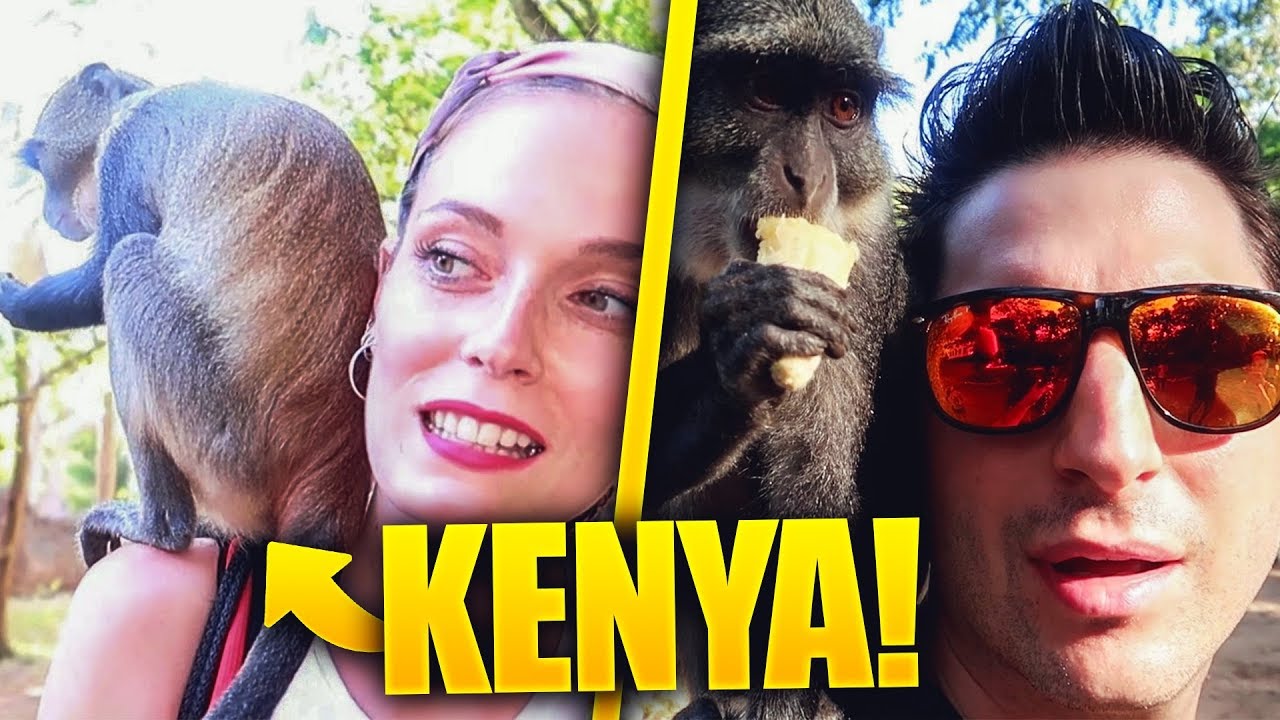 KENYA #7 - LE SCIMMIE CI SALTANO ADDOSSO!! PAZZESCO! ANIMA E LASABRI