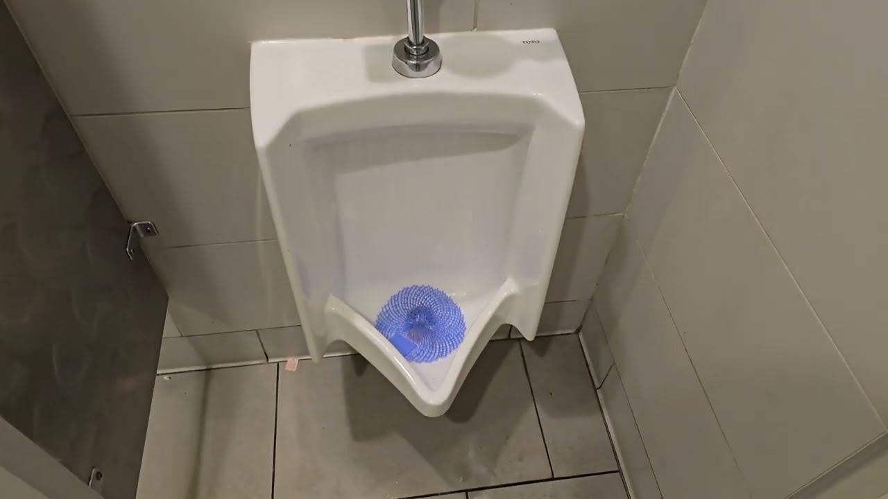 Dyson Airblade Vs | McDonald's | Agoura Hills, CA