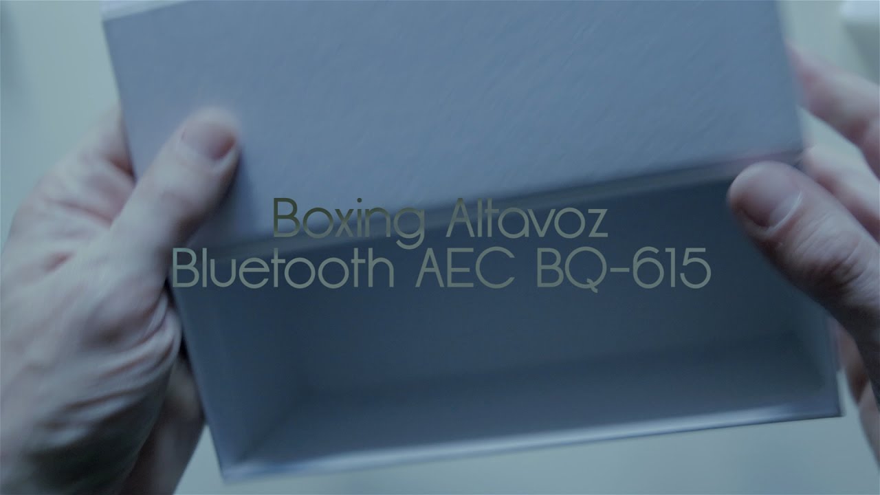 Boxing Altavoz Bluetooth Aec BQ-615