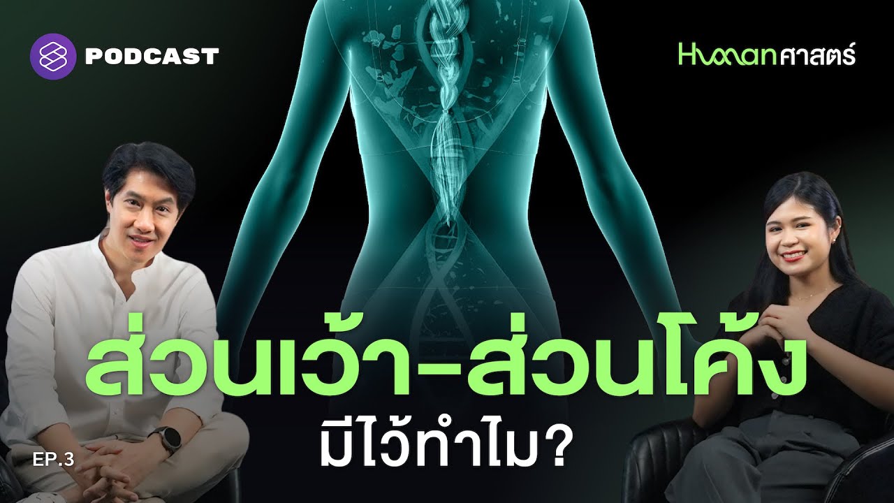 ส่วนเว้า-ส่วนโค้งของผู้หญิง คือสิ่งที่วิวัฒนาการคัดสรรมาแล้ว? | Human-ศาสตร์ EP.3