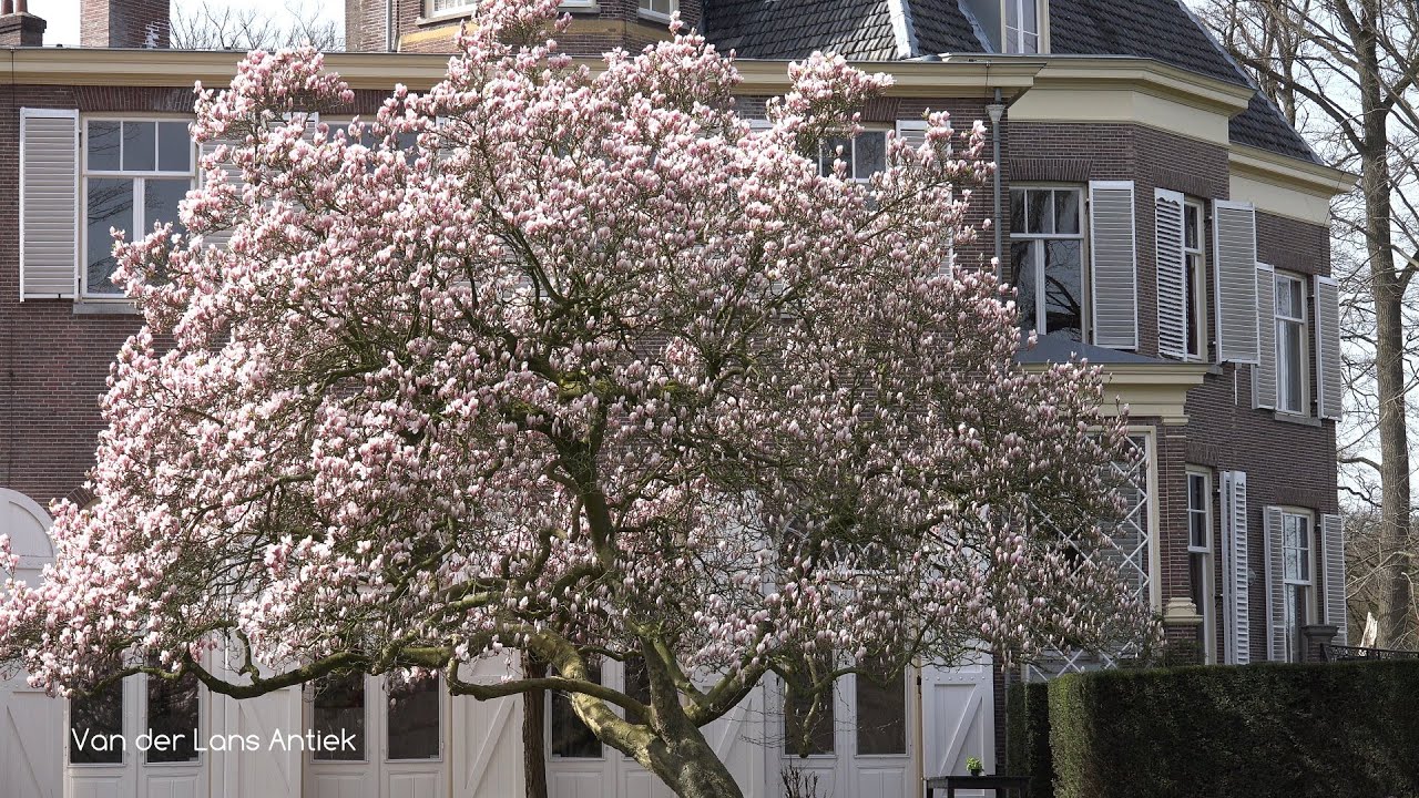 Jagtlust, het rondje van Six