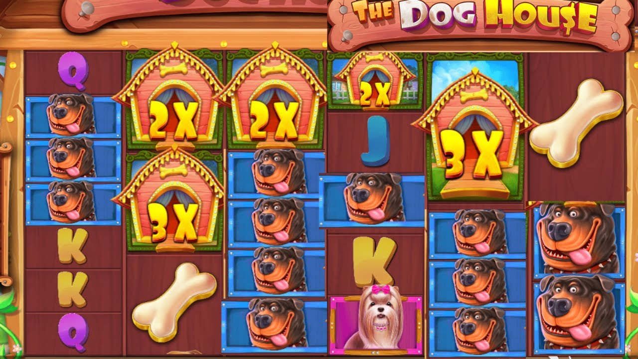 💰 SUPER WINS on The Dog House Megaways - MAX BET Bonus Buy! 🐕