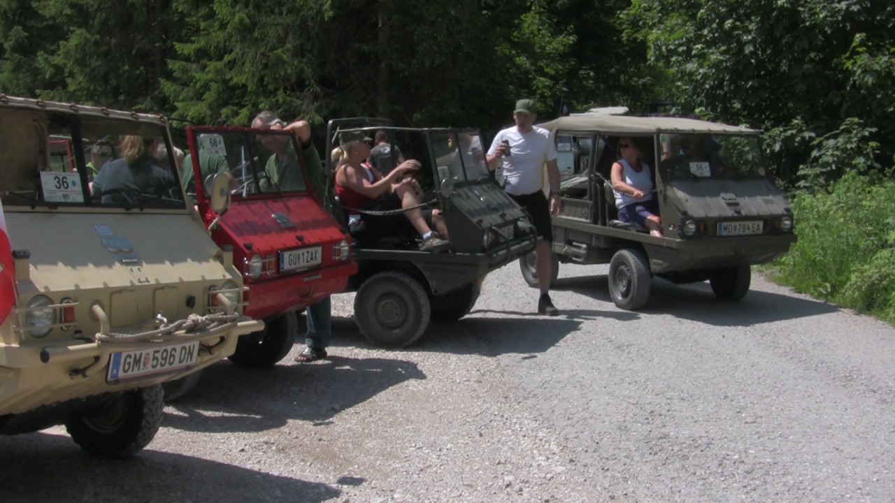 Ausfahrt Samstag (Haflinger Treffen Skgt 2017)