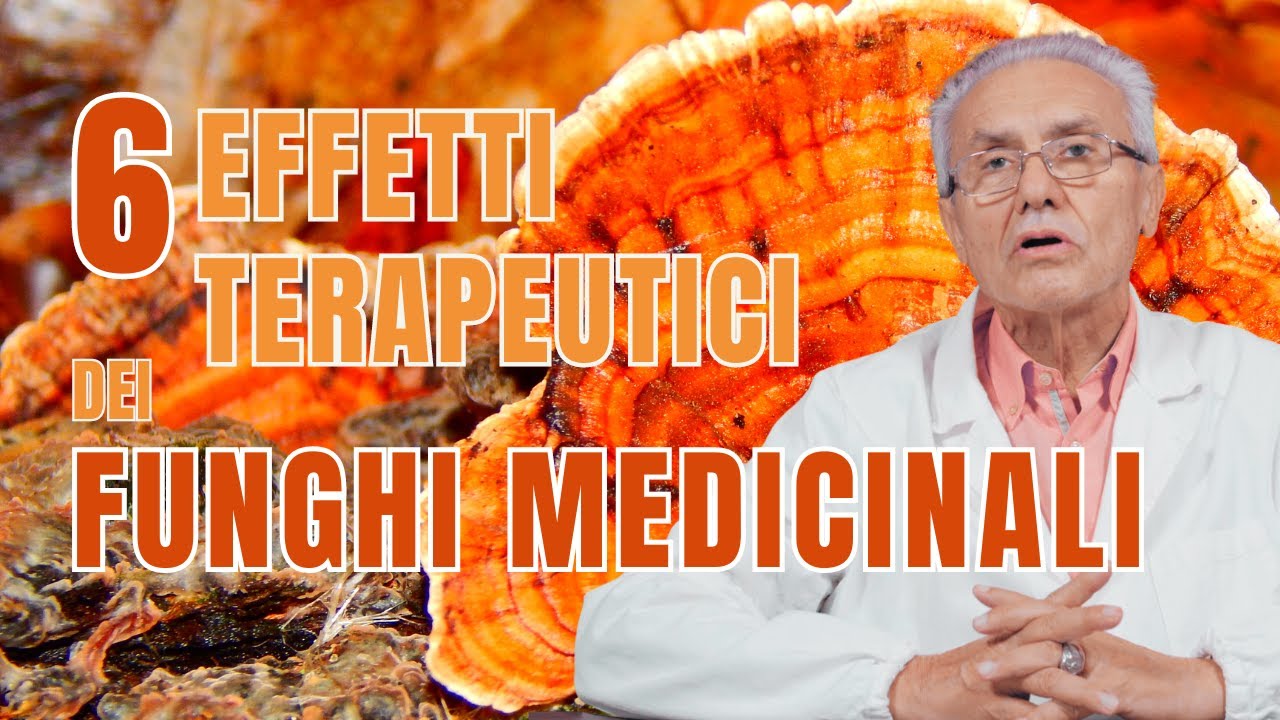 Scopri i 6 effetti TERAPEUTICI dei FUNGHI MEDICINALI!