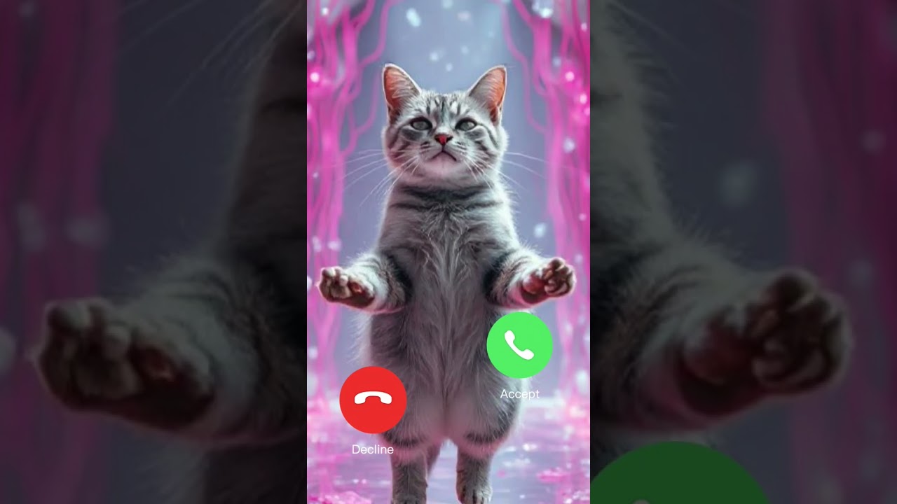 Epic Online Cat Adventures #cat​​#shorts​​