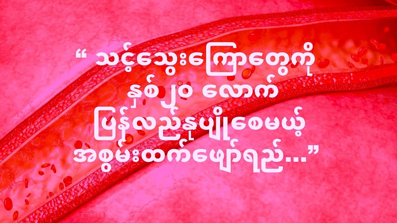 “ သင့်သွေးကြောတွေကို  နှစ်၂၀ လောက် ပြန်လည်နုပျိုစေမယ့် အစွမ်းထက်ဖျော်ရည်...”