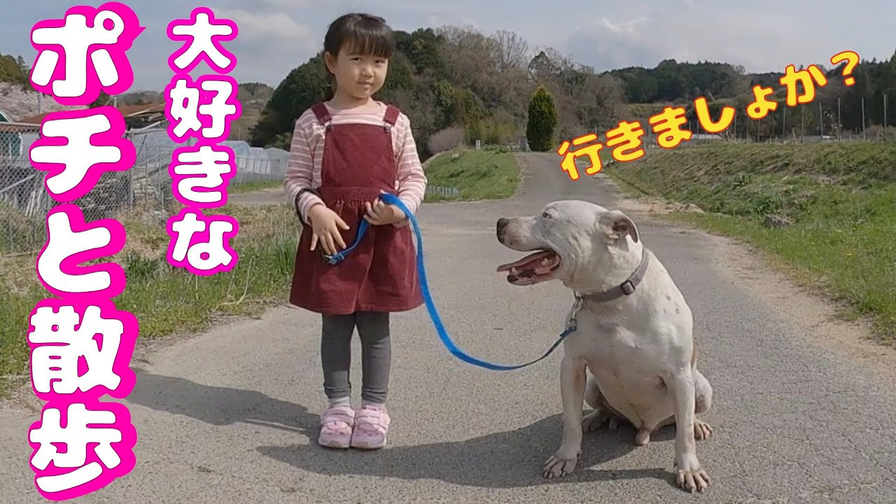 心優とポチのんびり散歩