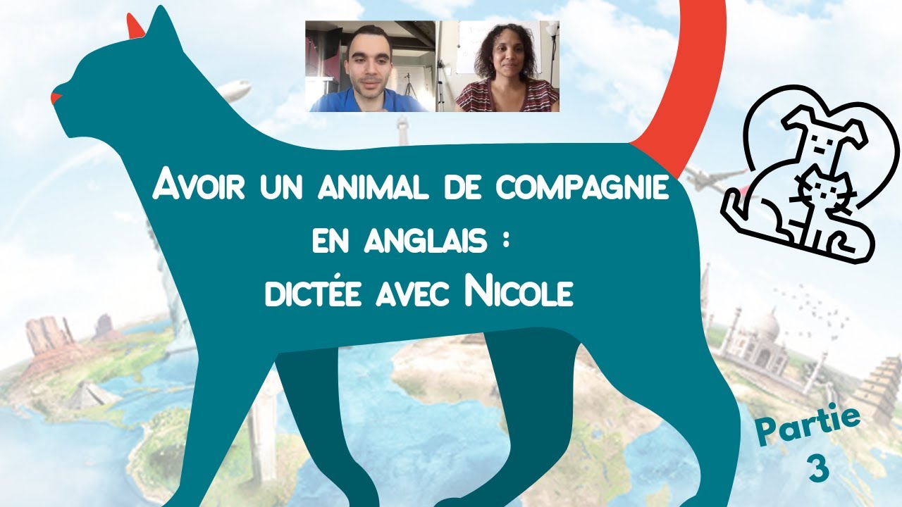 Avoir un animal de compagnie en anglais : dictée avec Nicole - partie 3
