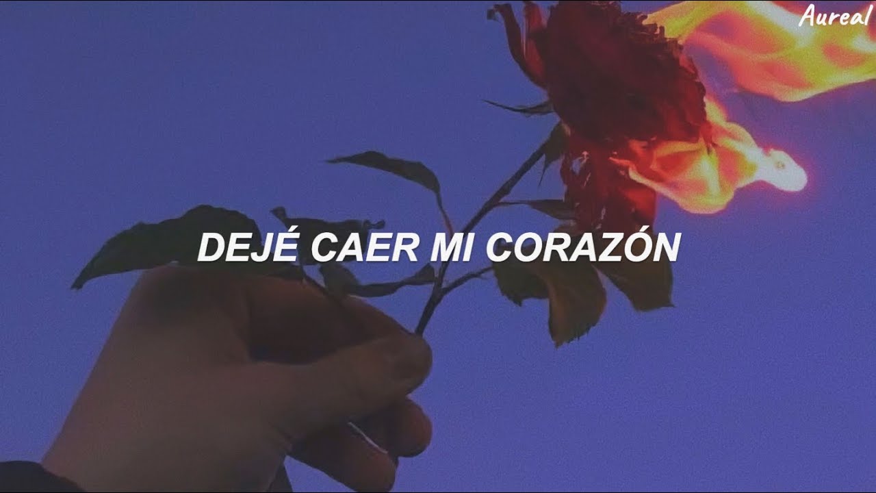 Adele - Set Fire To The Rain (Traducida al Español)