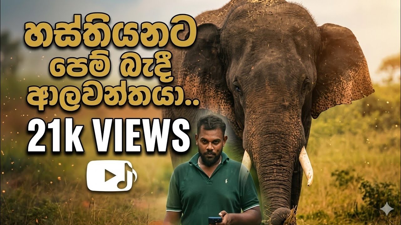 සොයුර ඔබේ නාමය බැබලේවි ලක් ඉතිහාසයේ පවා🥰🥰😔#song#vairalvideo#trendingvideo#(kathnoruwesiridammahimi#