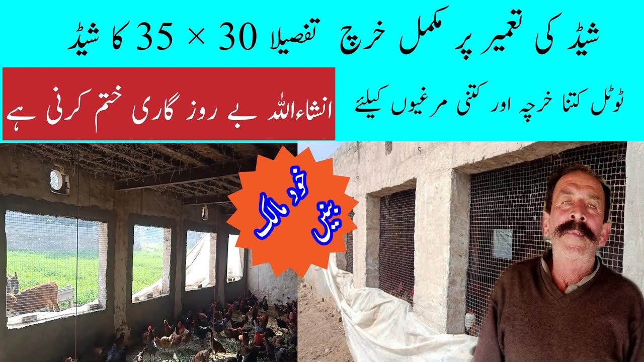 Total Investment Detail to Construct a Small Poultry Shed || very informative video