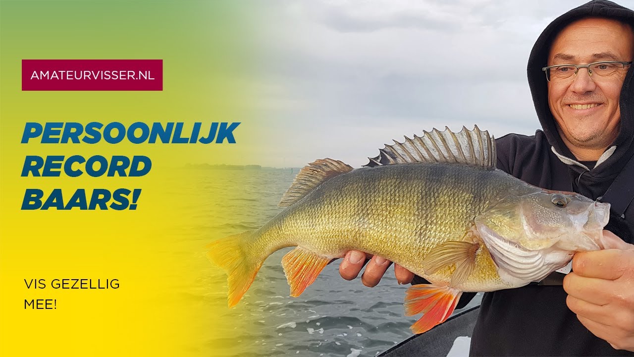 MEGA BAARS op het Wolderwijd