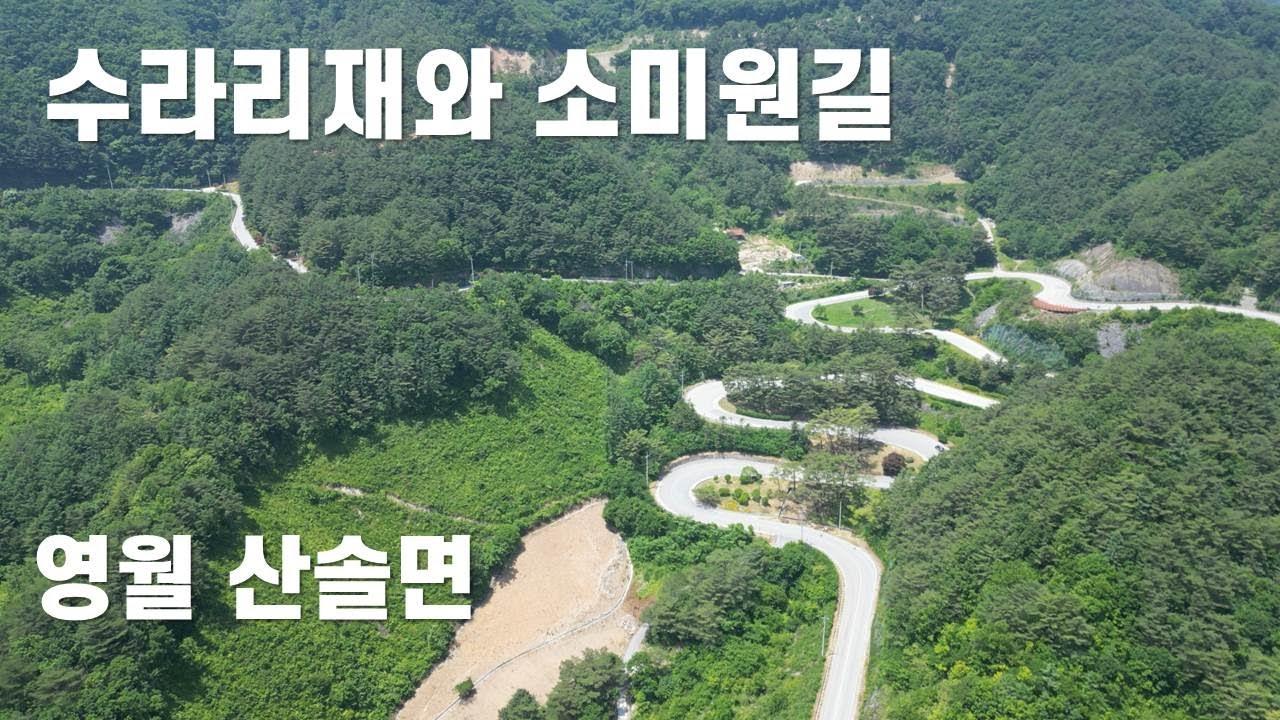 이런 예쁜 길이 숨어있었네요 #영월 산솔면 소미원길