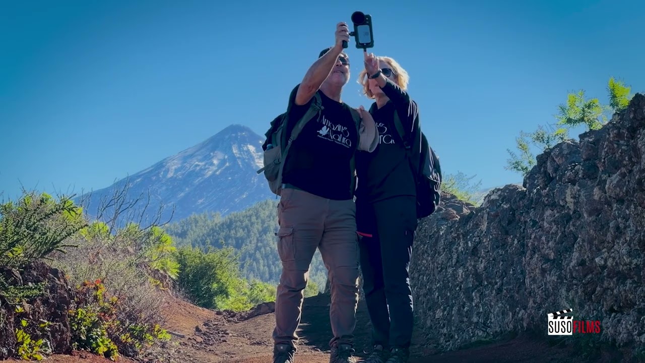 ALMENDROS SANTIAGO DEL TEIDE 2026